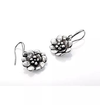 Pendientes de plata Viceroy...
